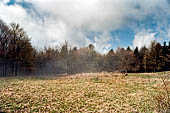 Parco delle Foreste Casentinesi.